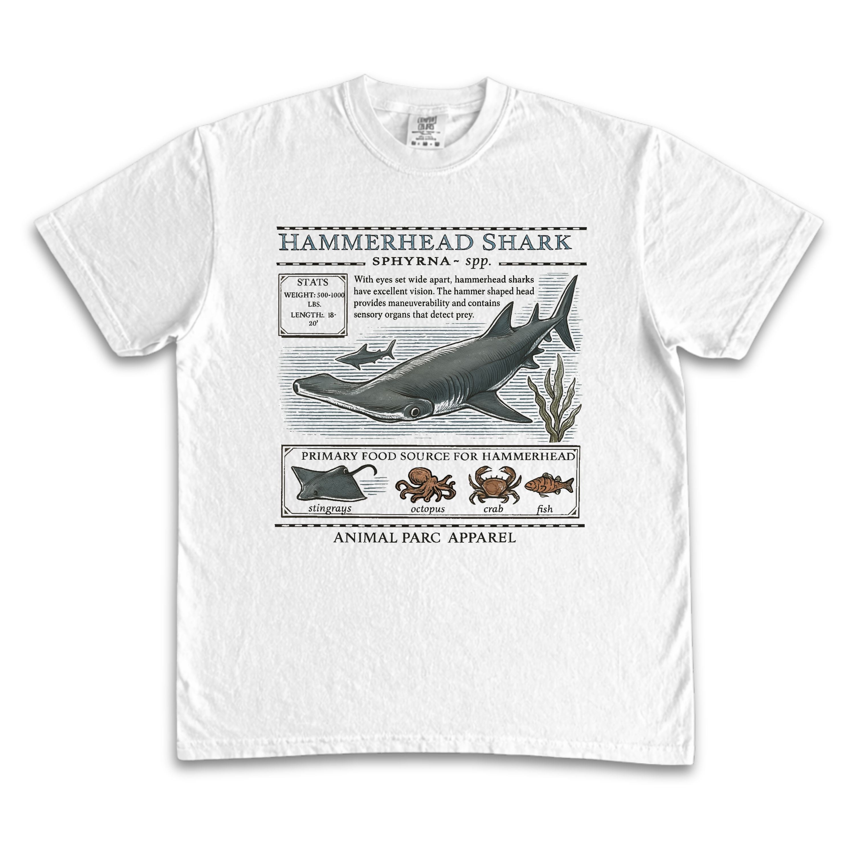 Hammerhead Zoology