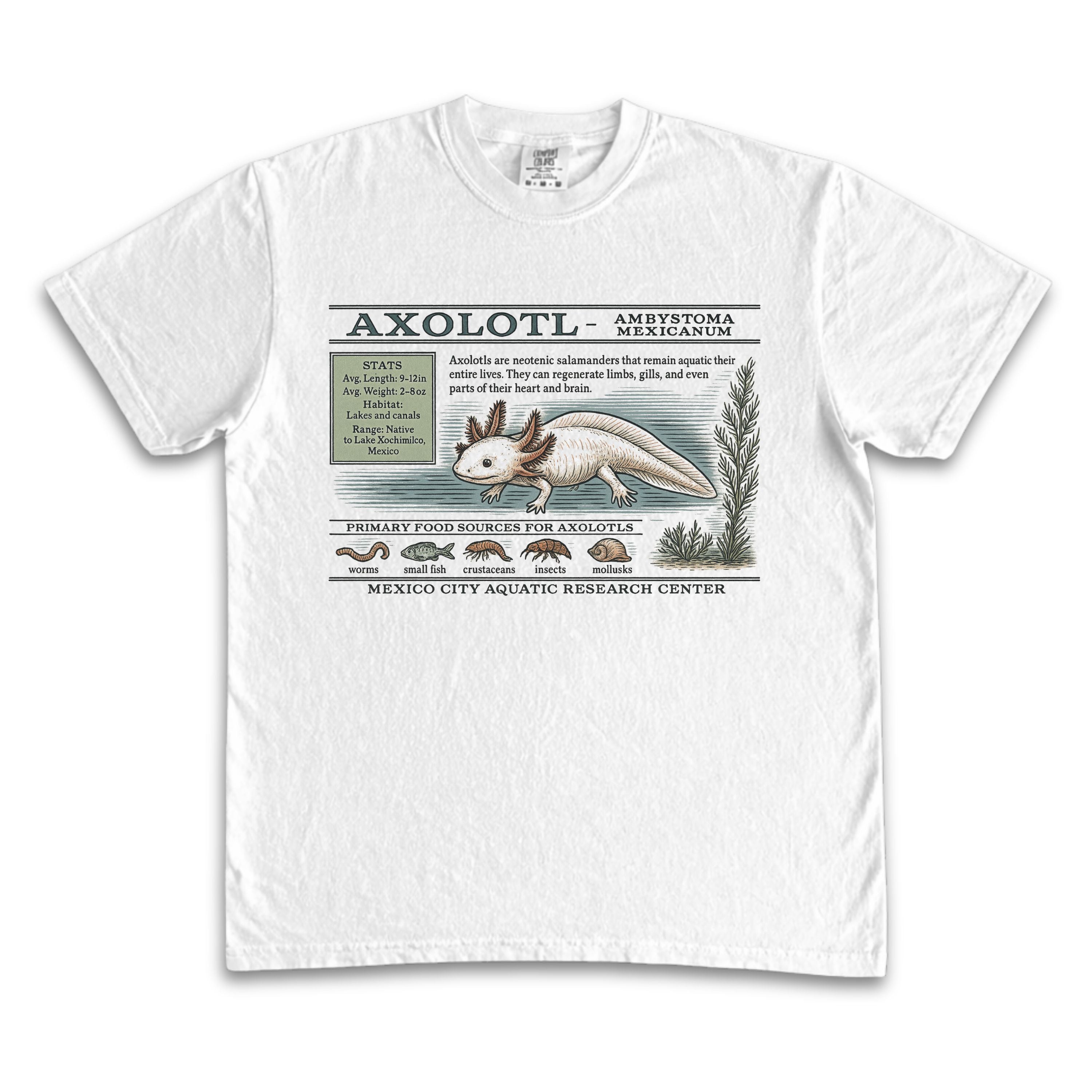 Axolotl Zoology Tee