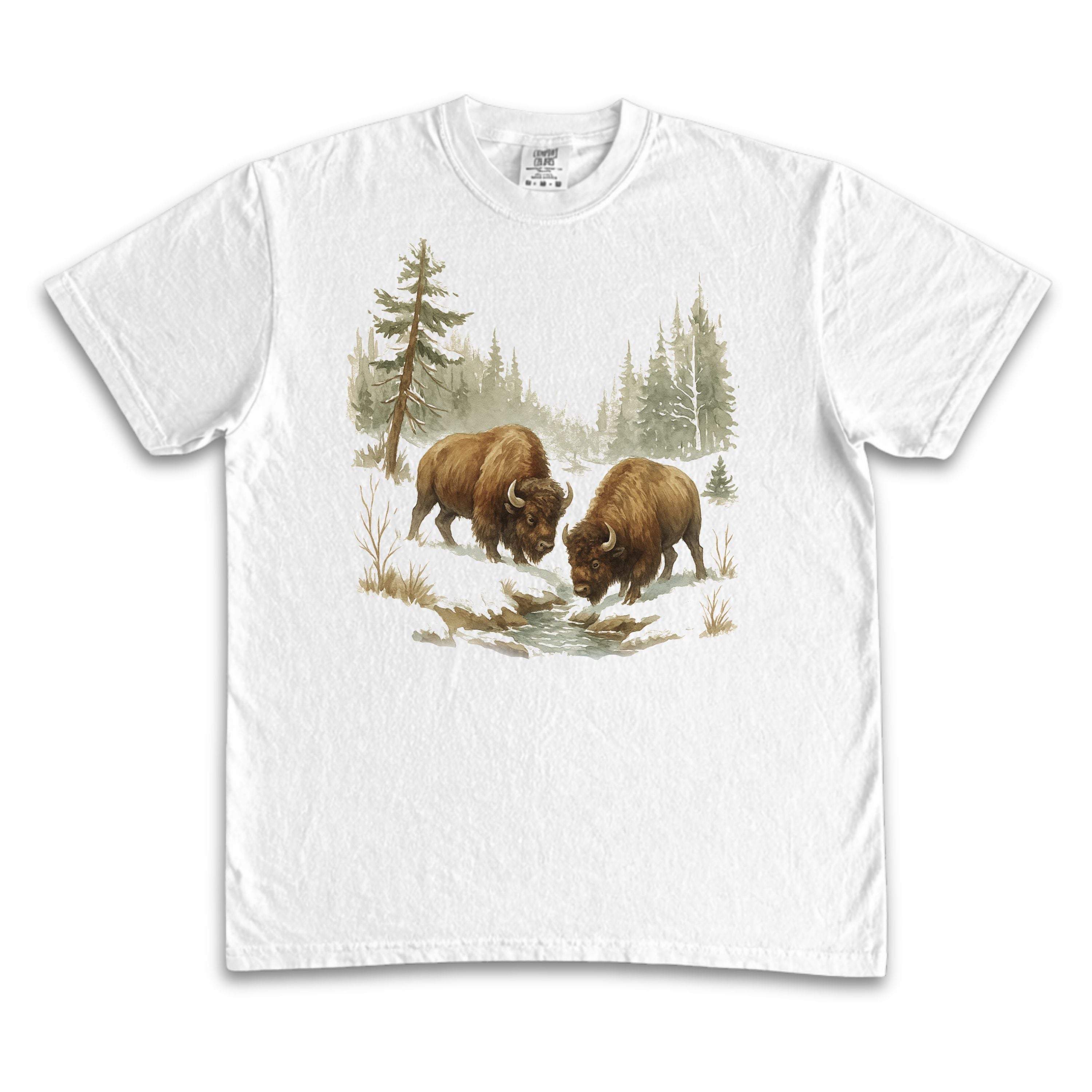 Bisons in Nature