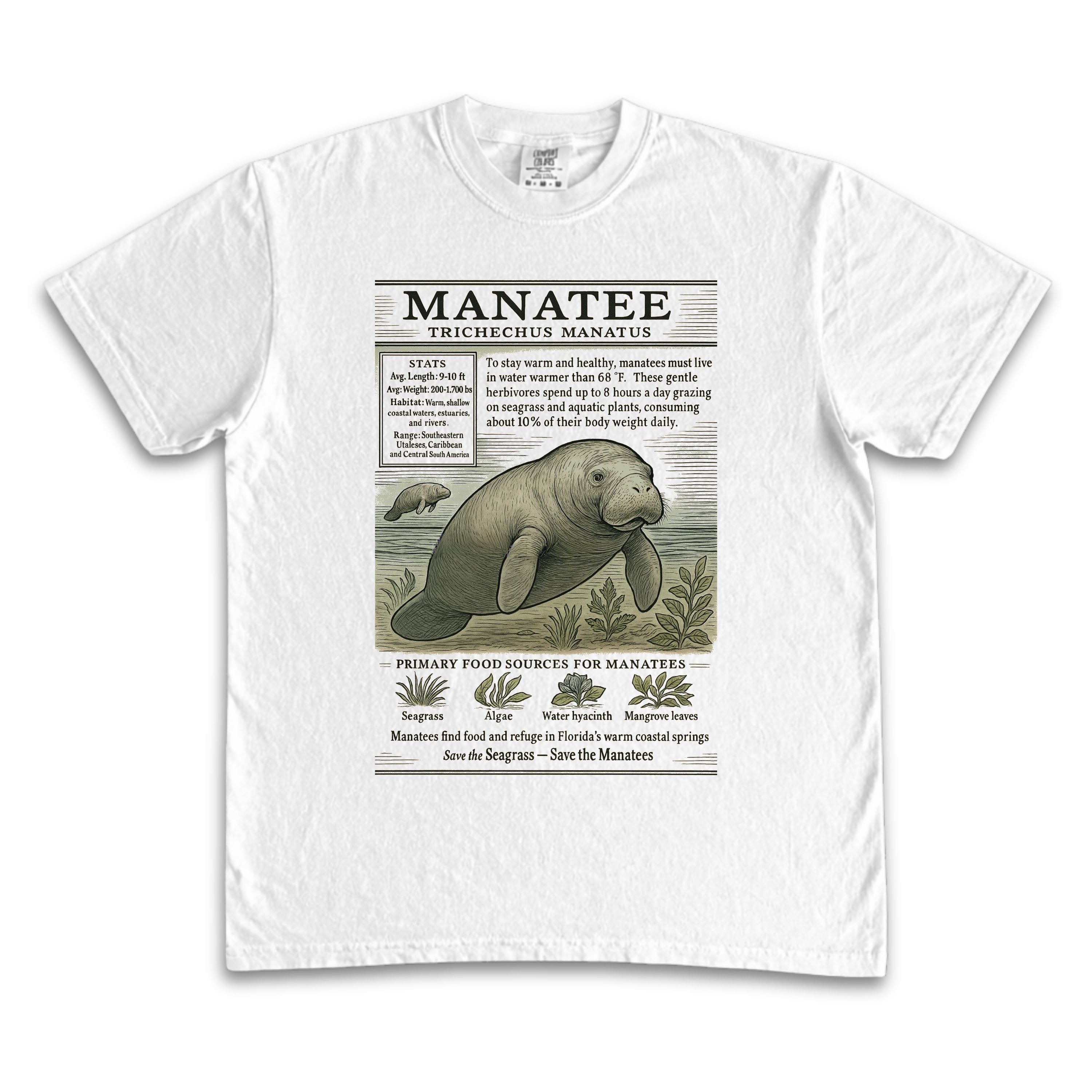 Manatee Zoology