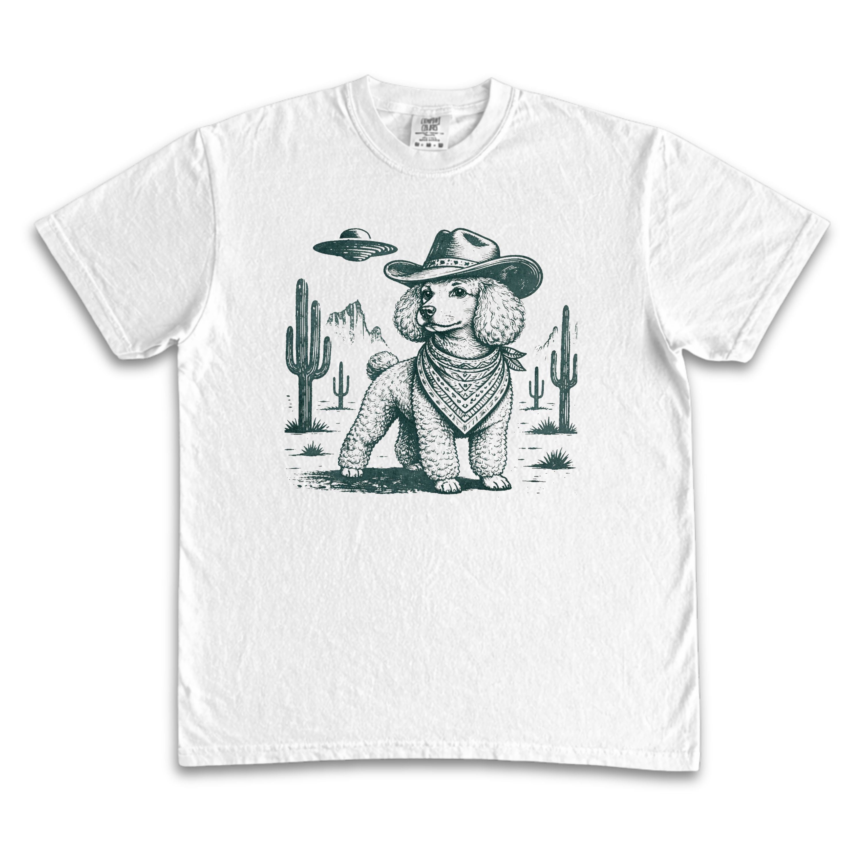 Poodle Desert Abduction