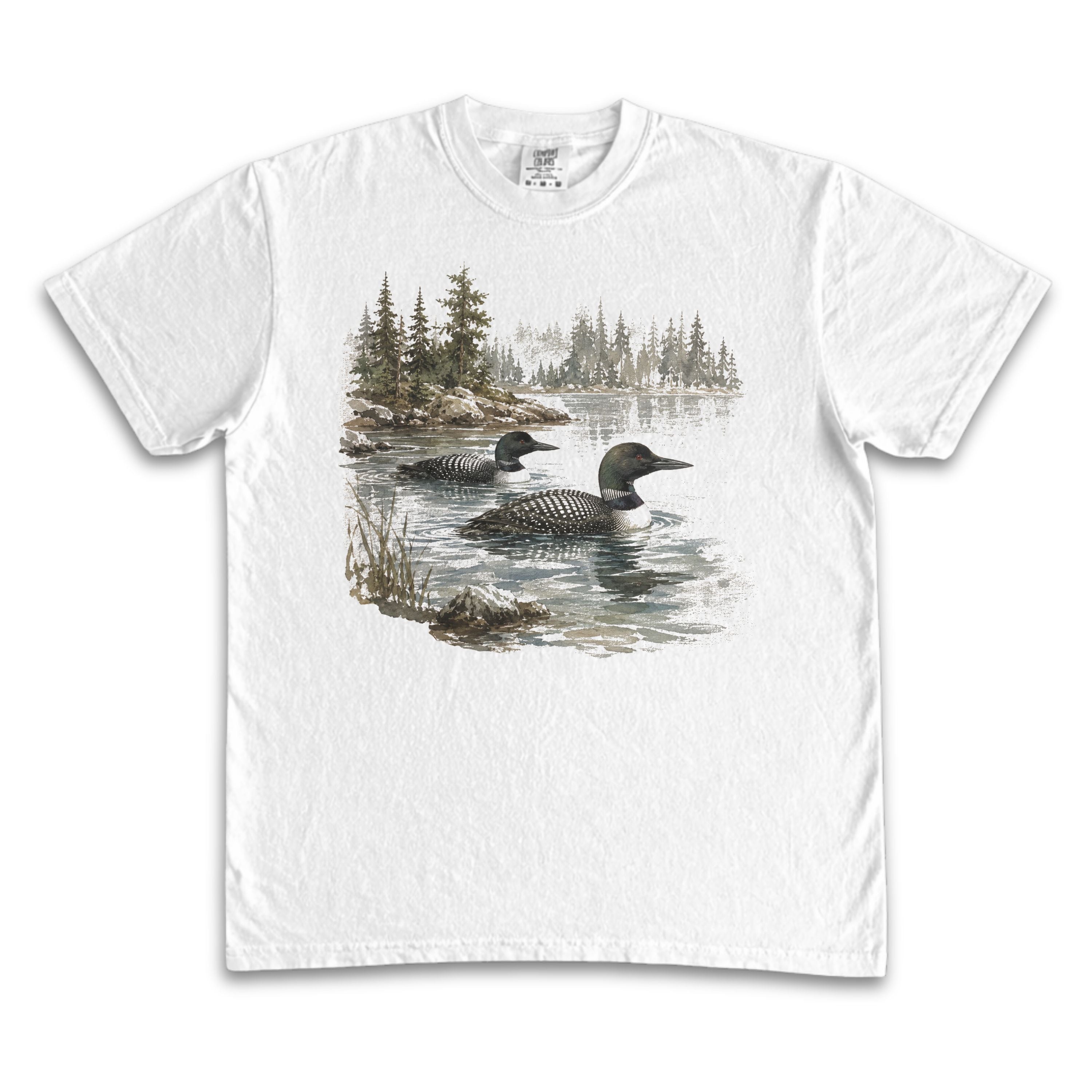 Loons in Nature