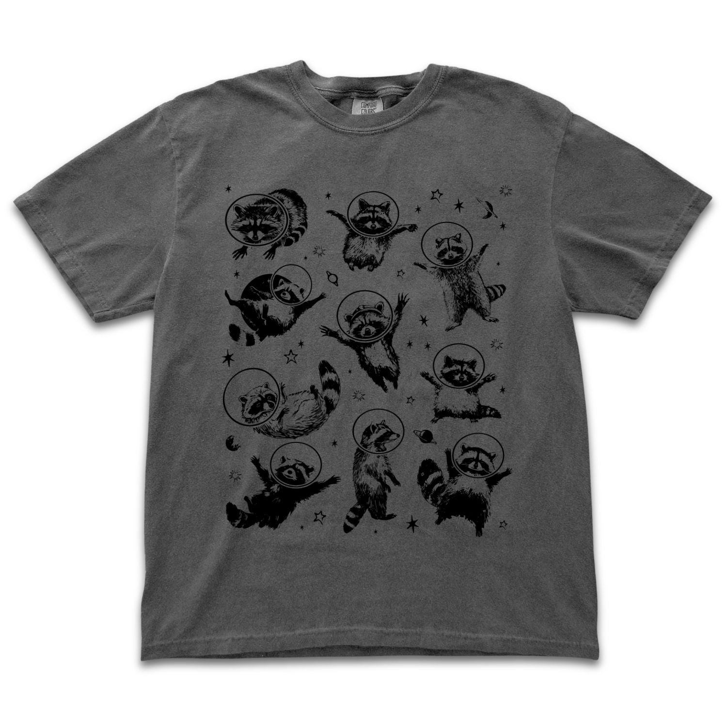 Space Raccoons 2.0