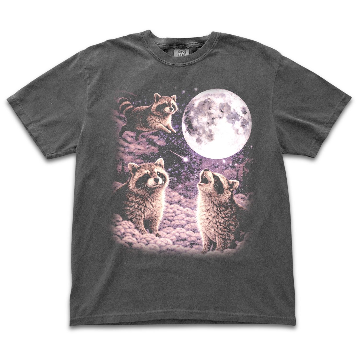 Space Raccoons