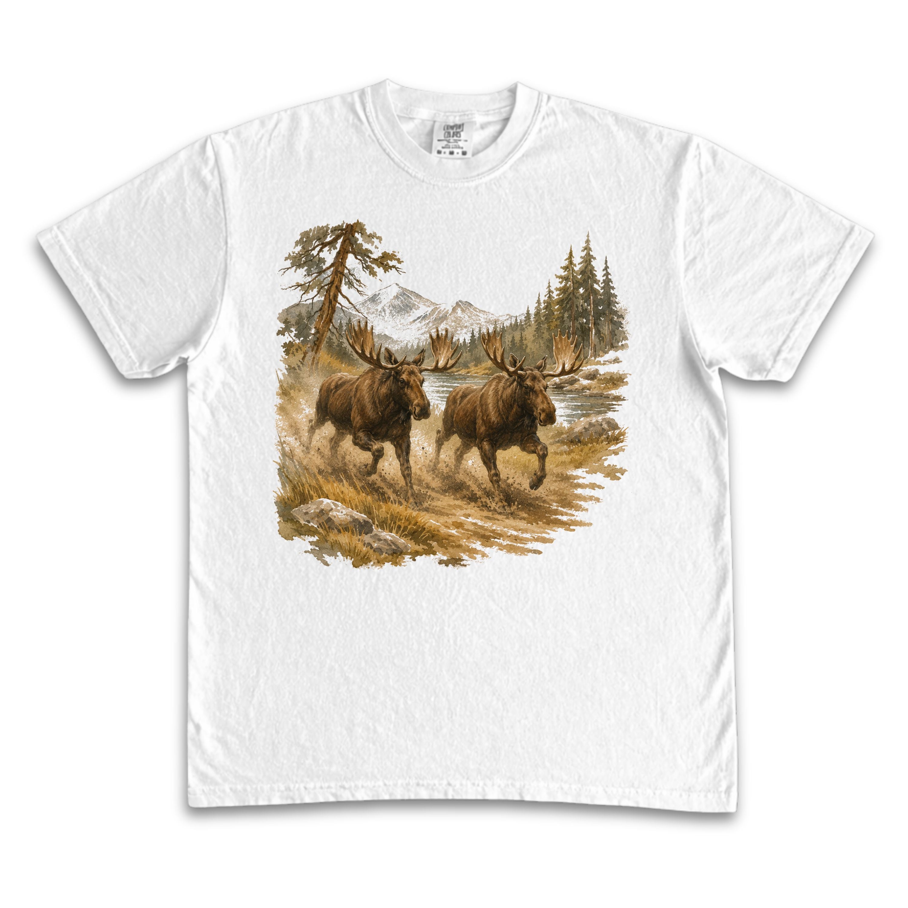Running Moose