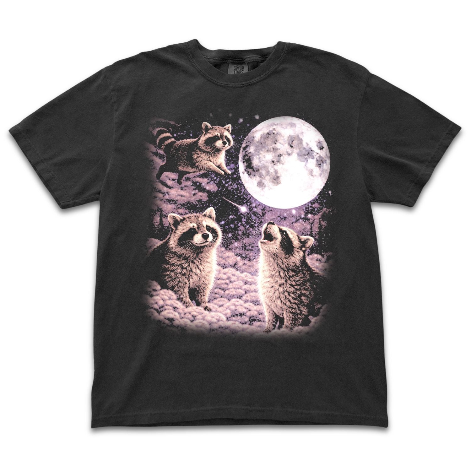 Space Raccoons
