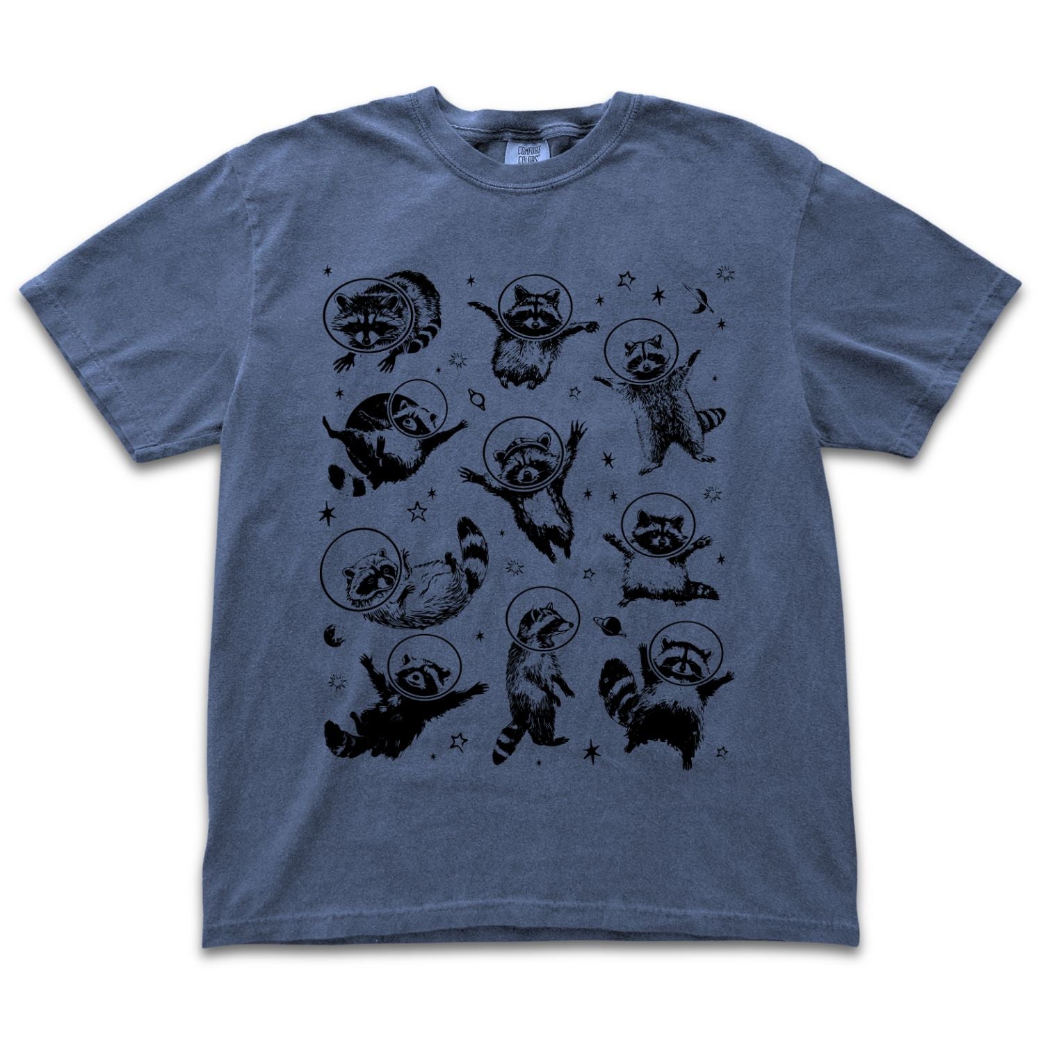 Space Raccoons 2.0