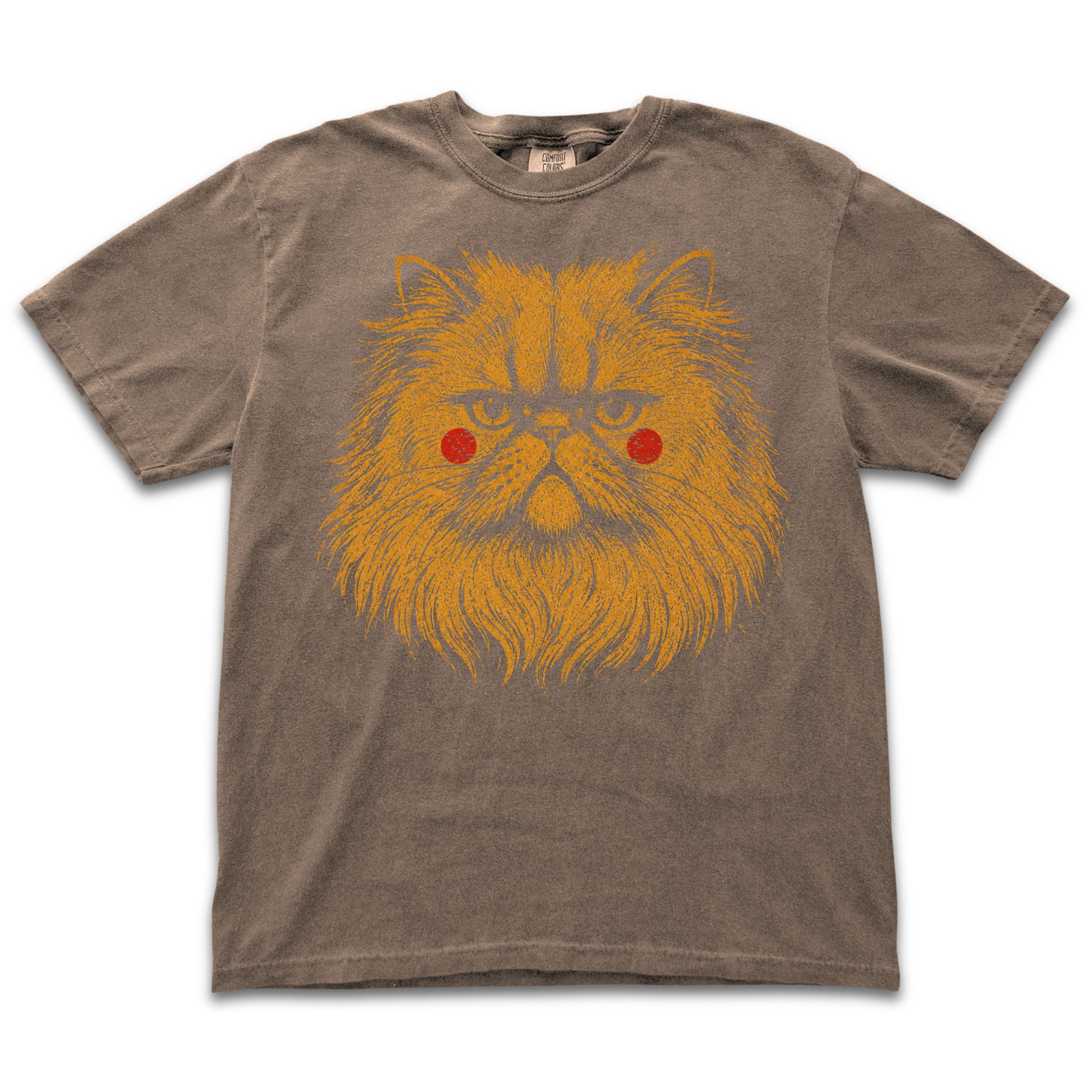 Persian Cat Boho Style