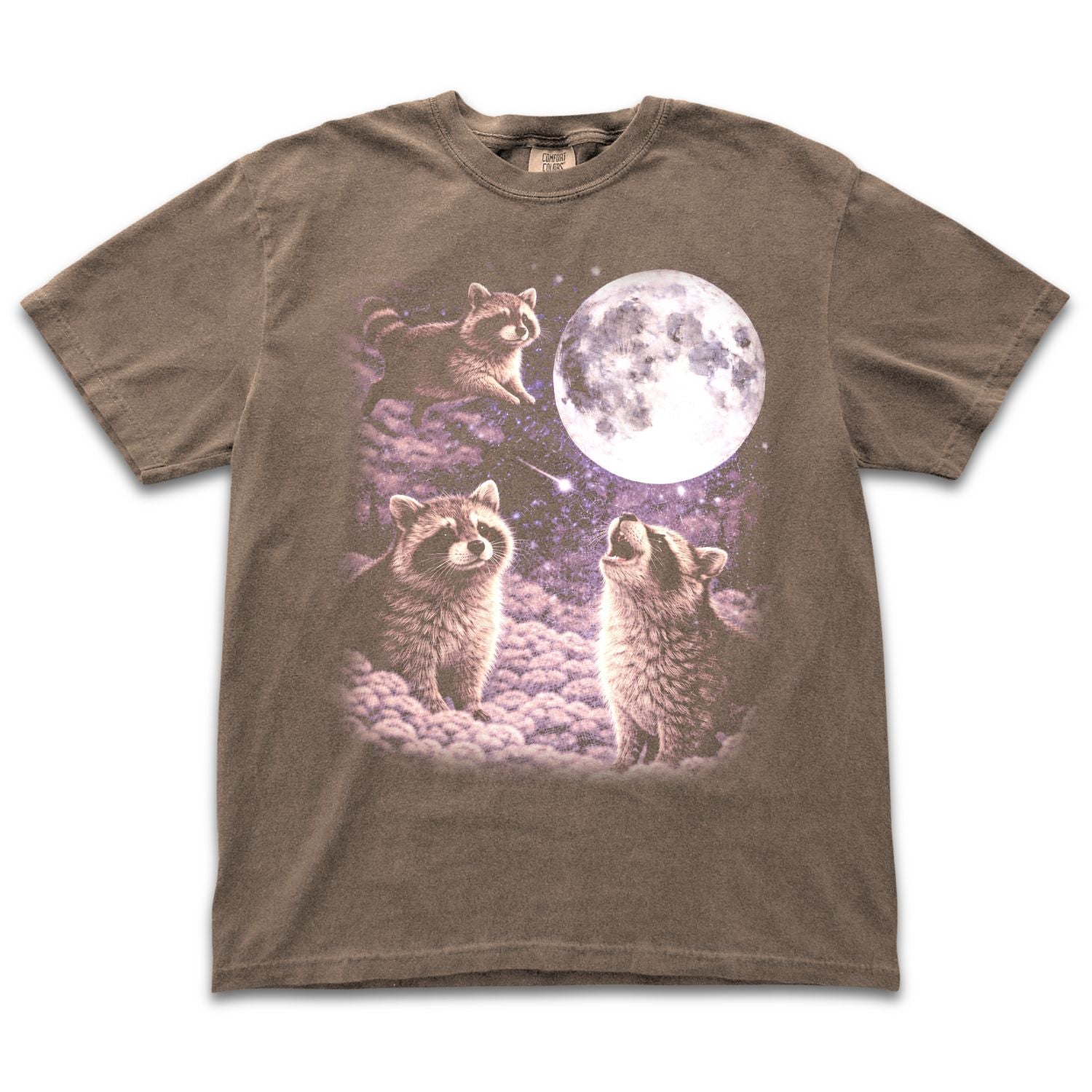 Space Raccoons