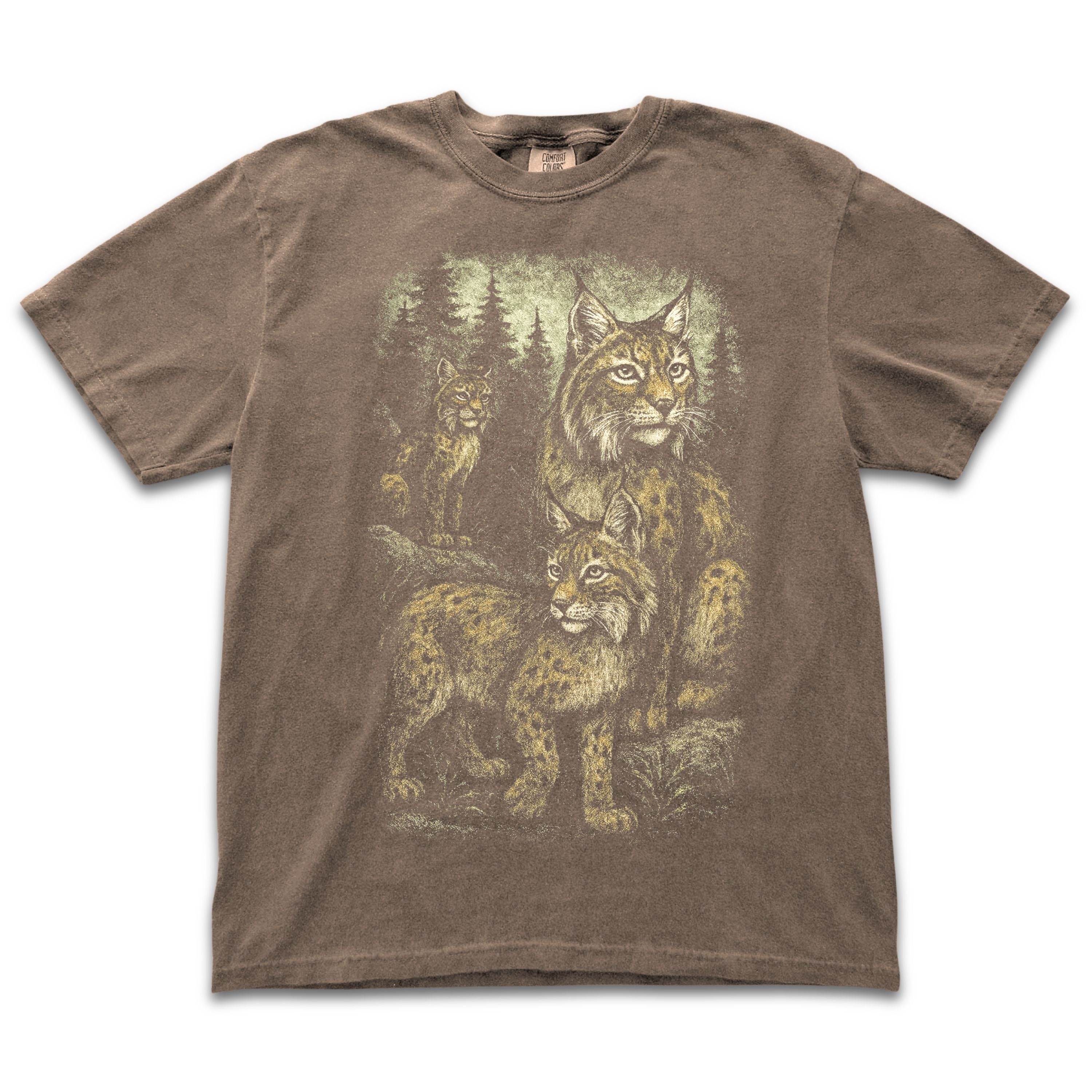 Lynx in Forest