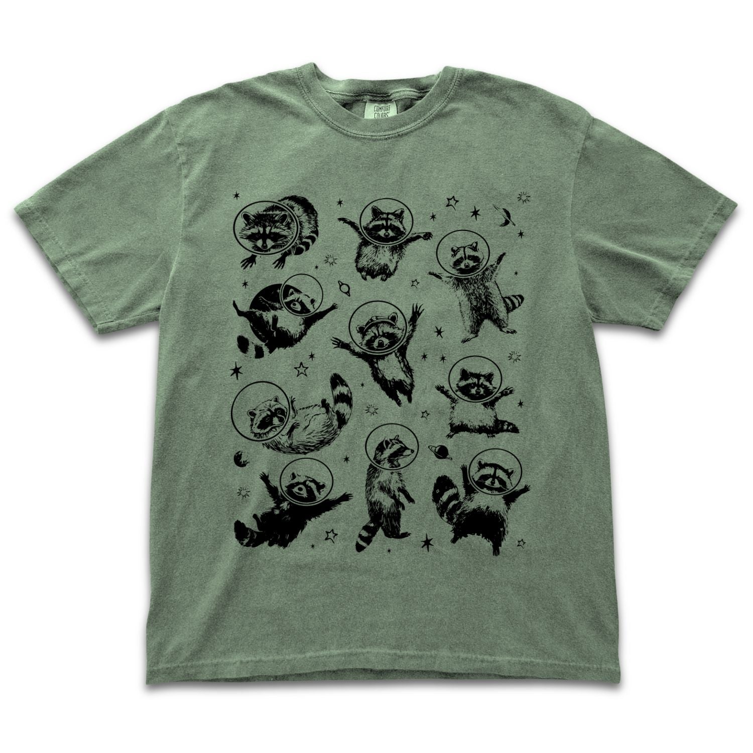 Space Raccoons 2.0