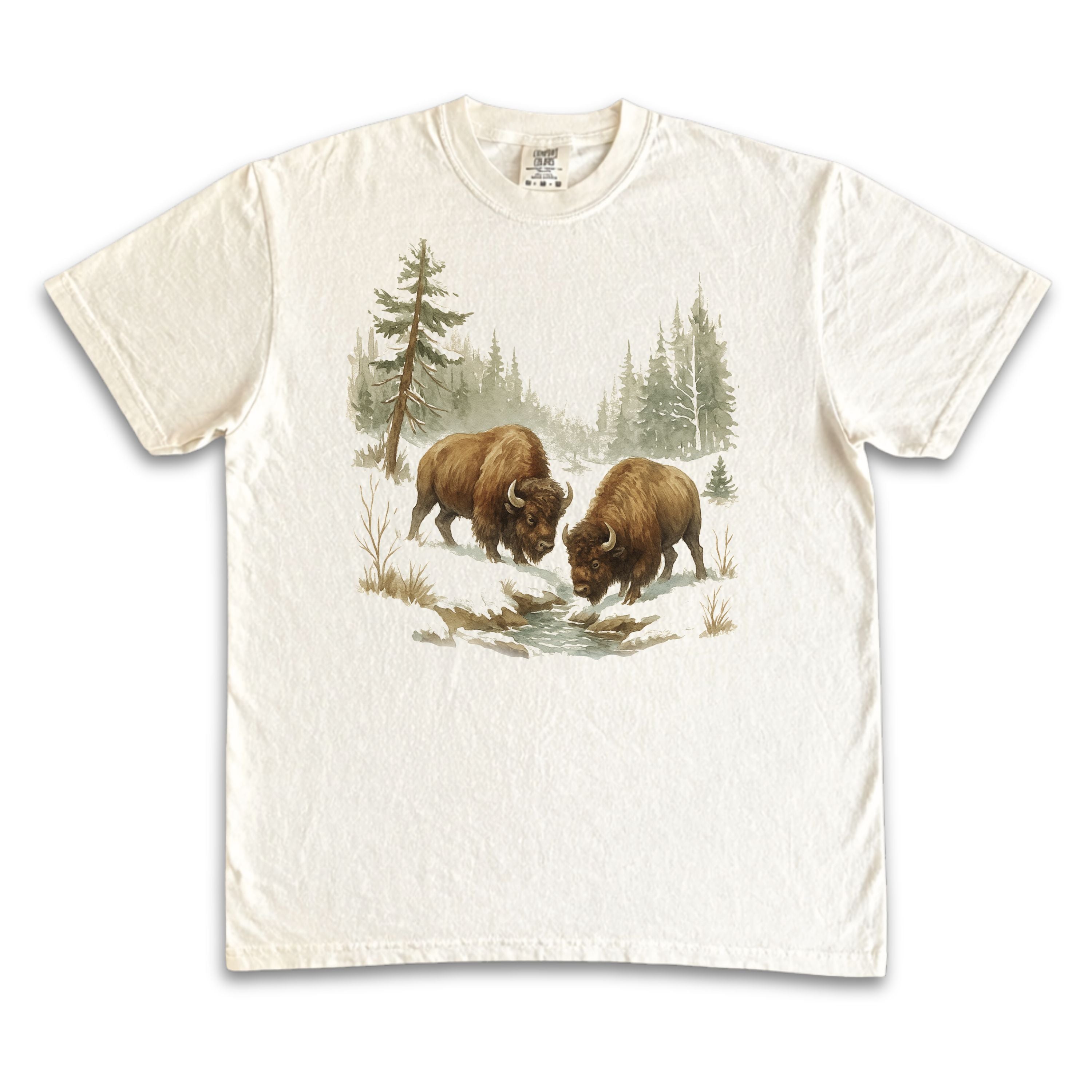 Bisons in Nature