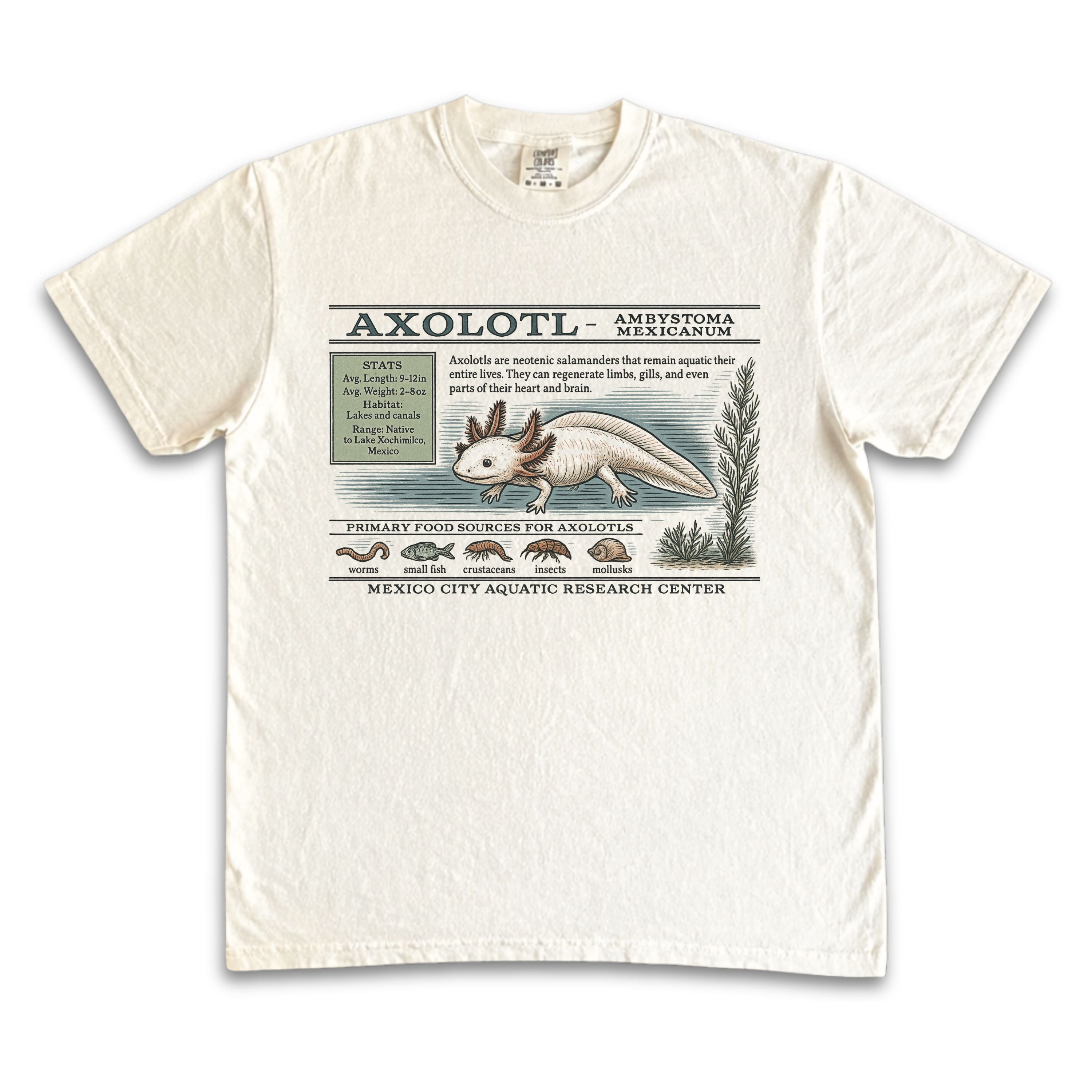 Axolotl Zoology Tee