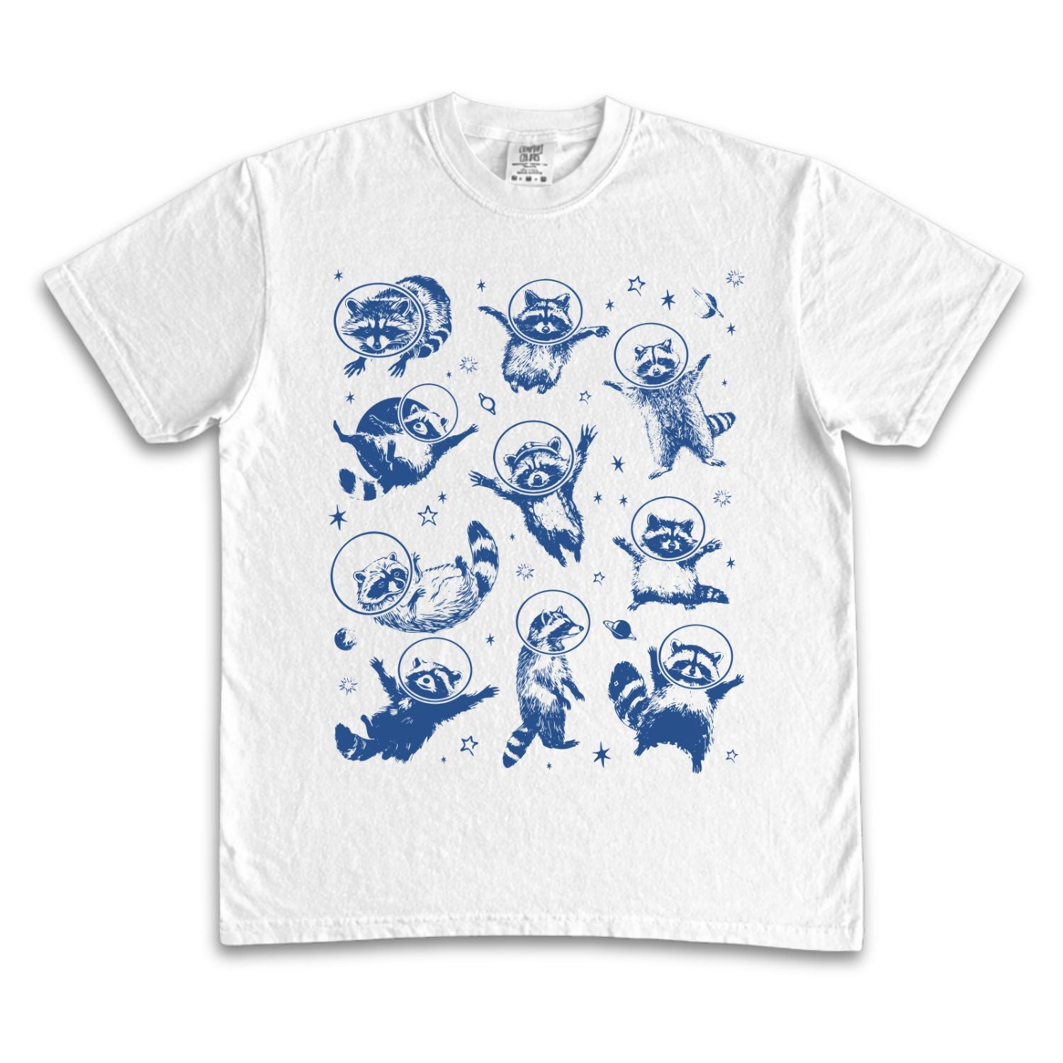 Space Raccoons 2.0