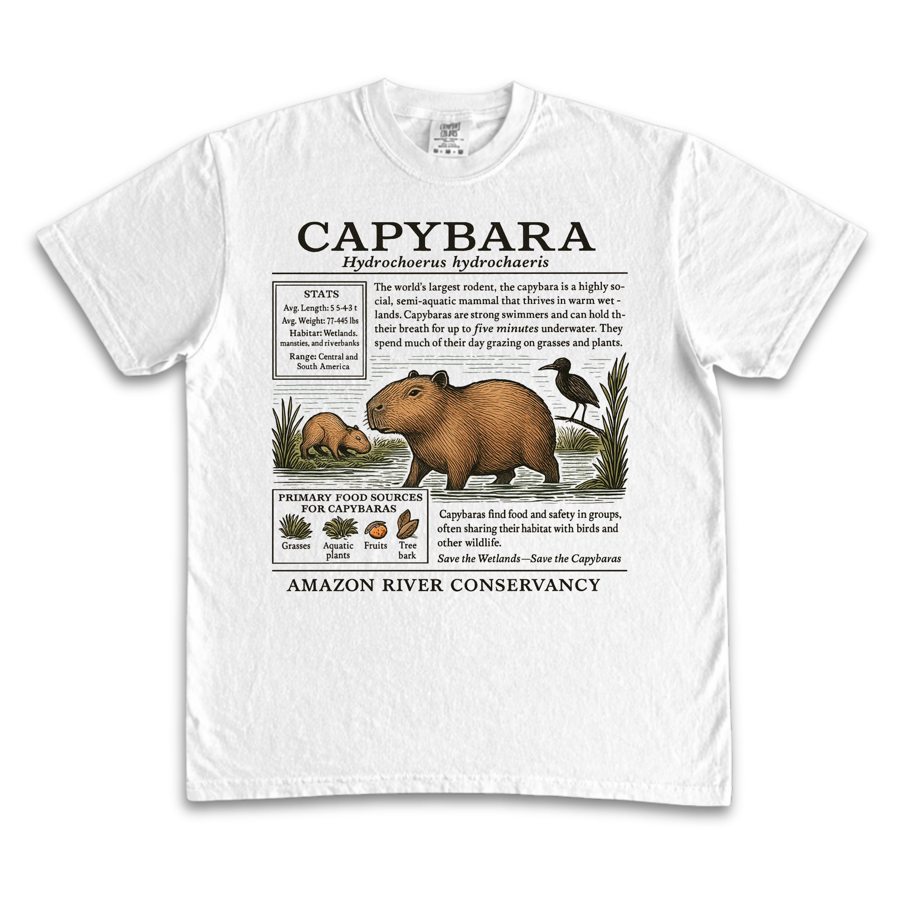 Capybara Zoology