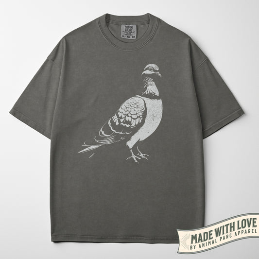 Pigeon Graphic