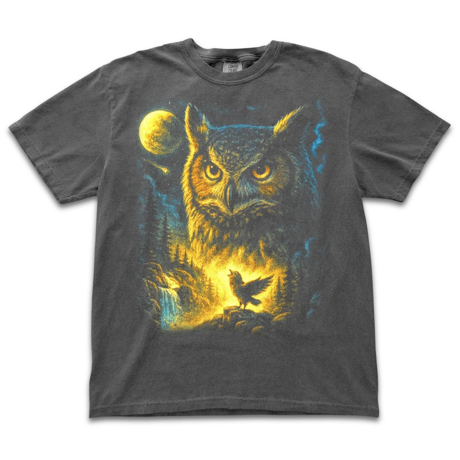 Moonlight Owl