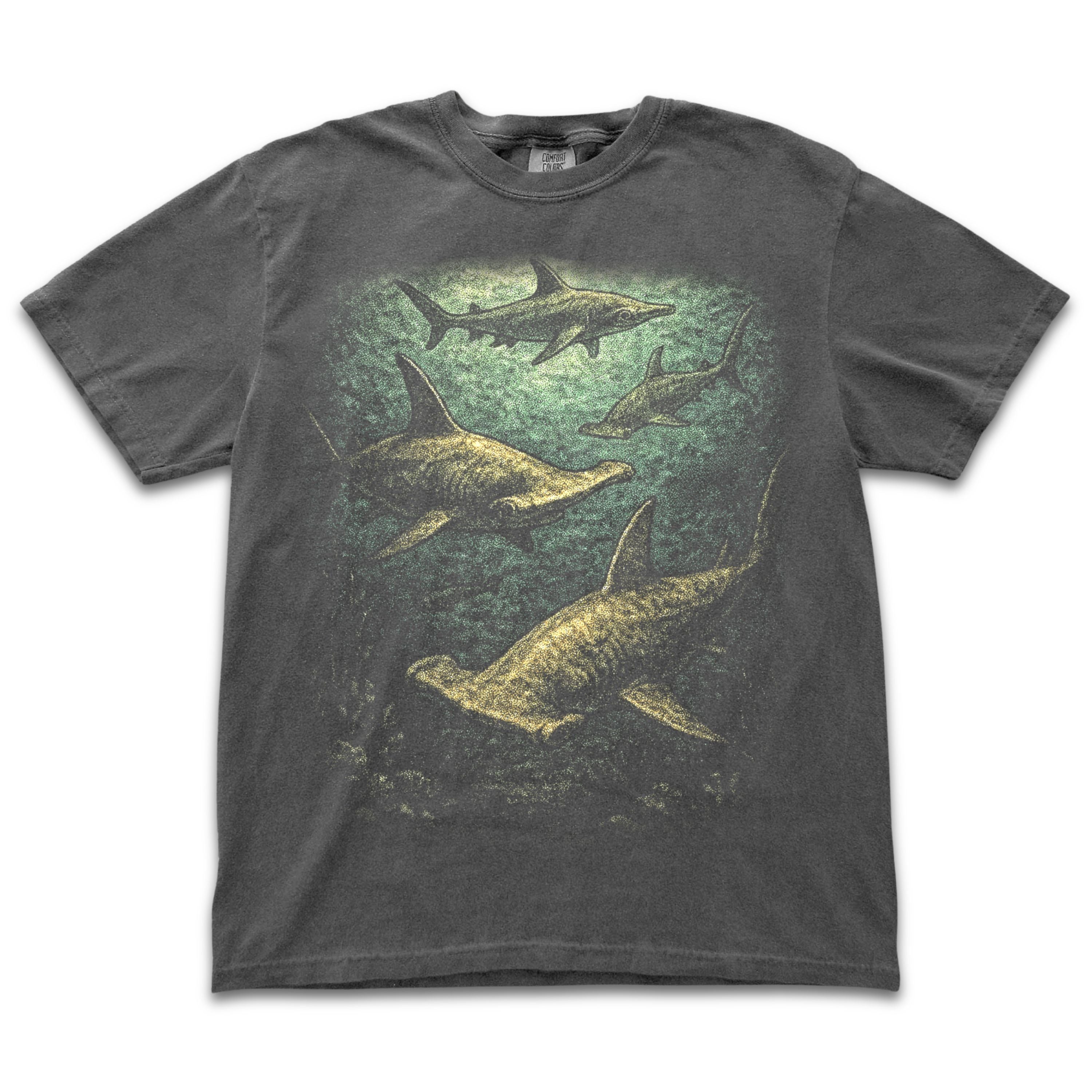 Hammerheads Under Water