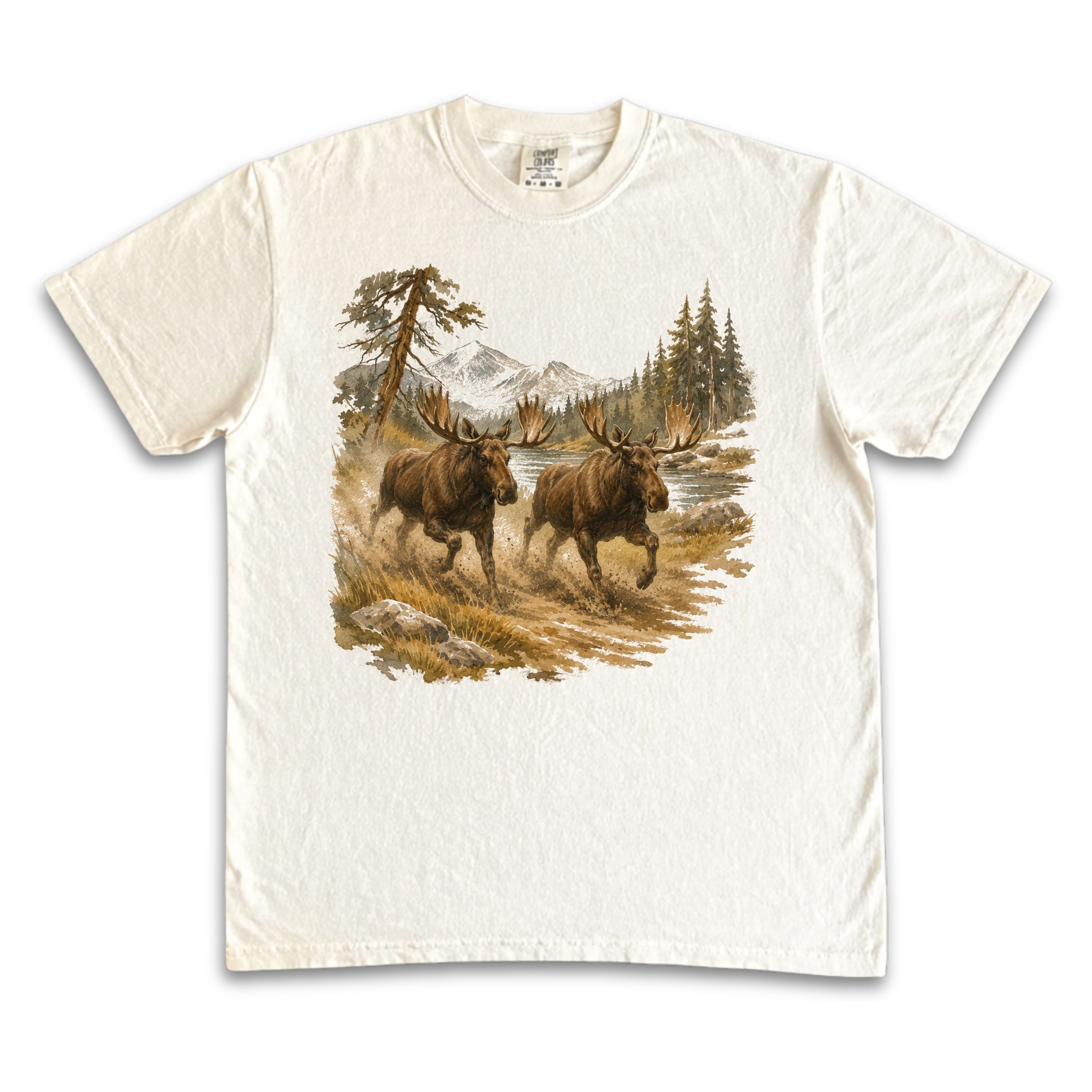 Running Moose