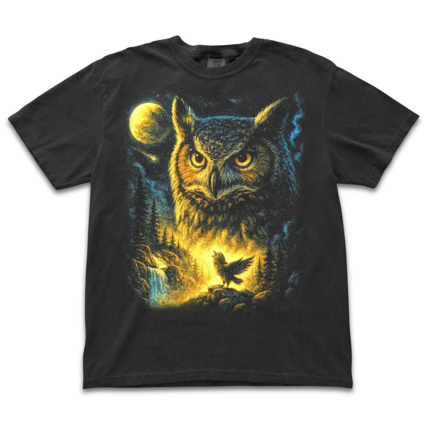 Moonlight Owl