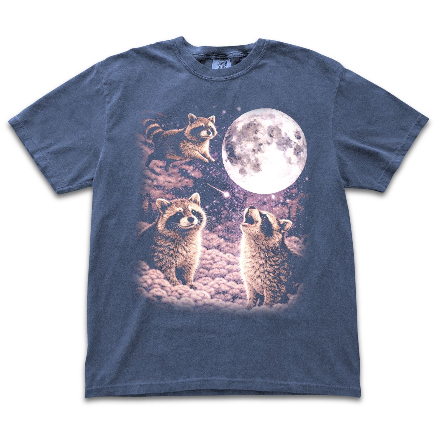 Space Raccoons