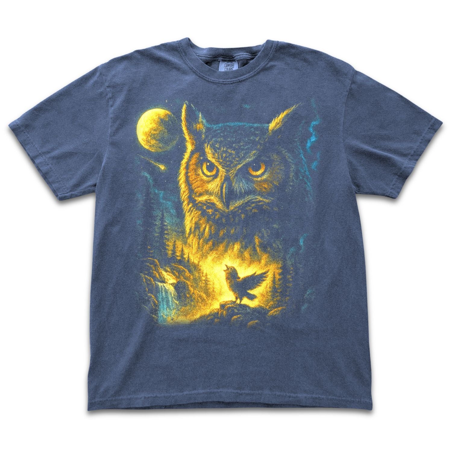 Moonlight Owl