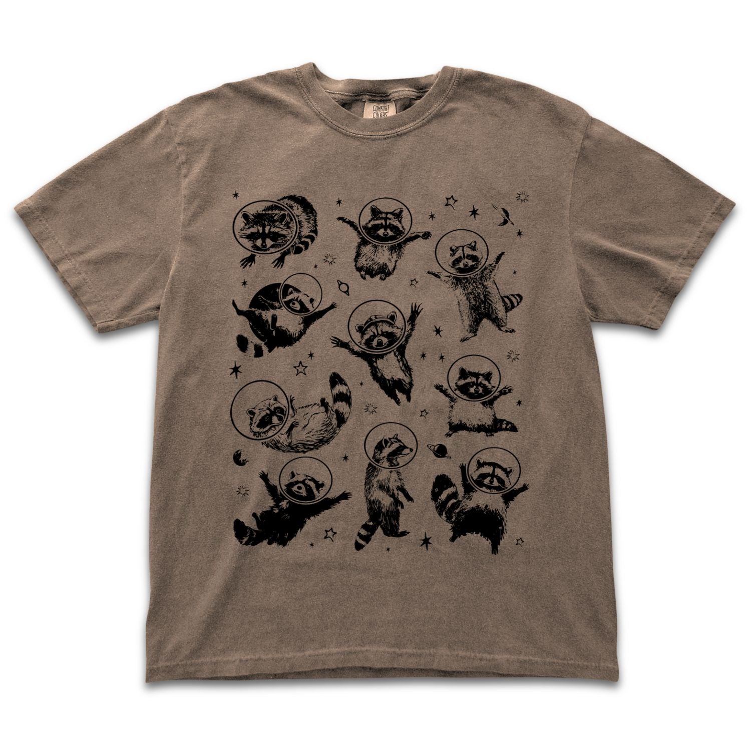 Space Raccoons 2.0