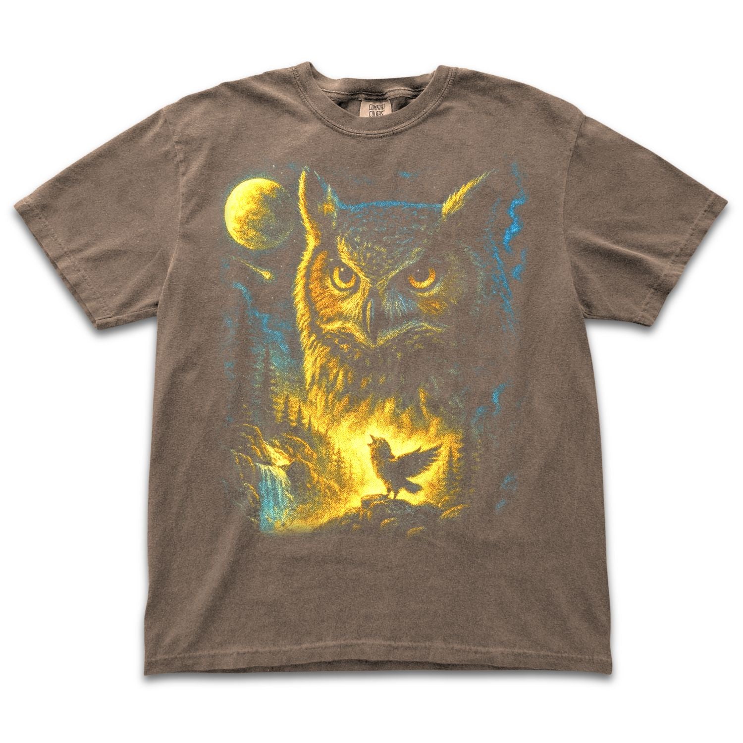 Moonlight Owl