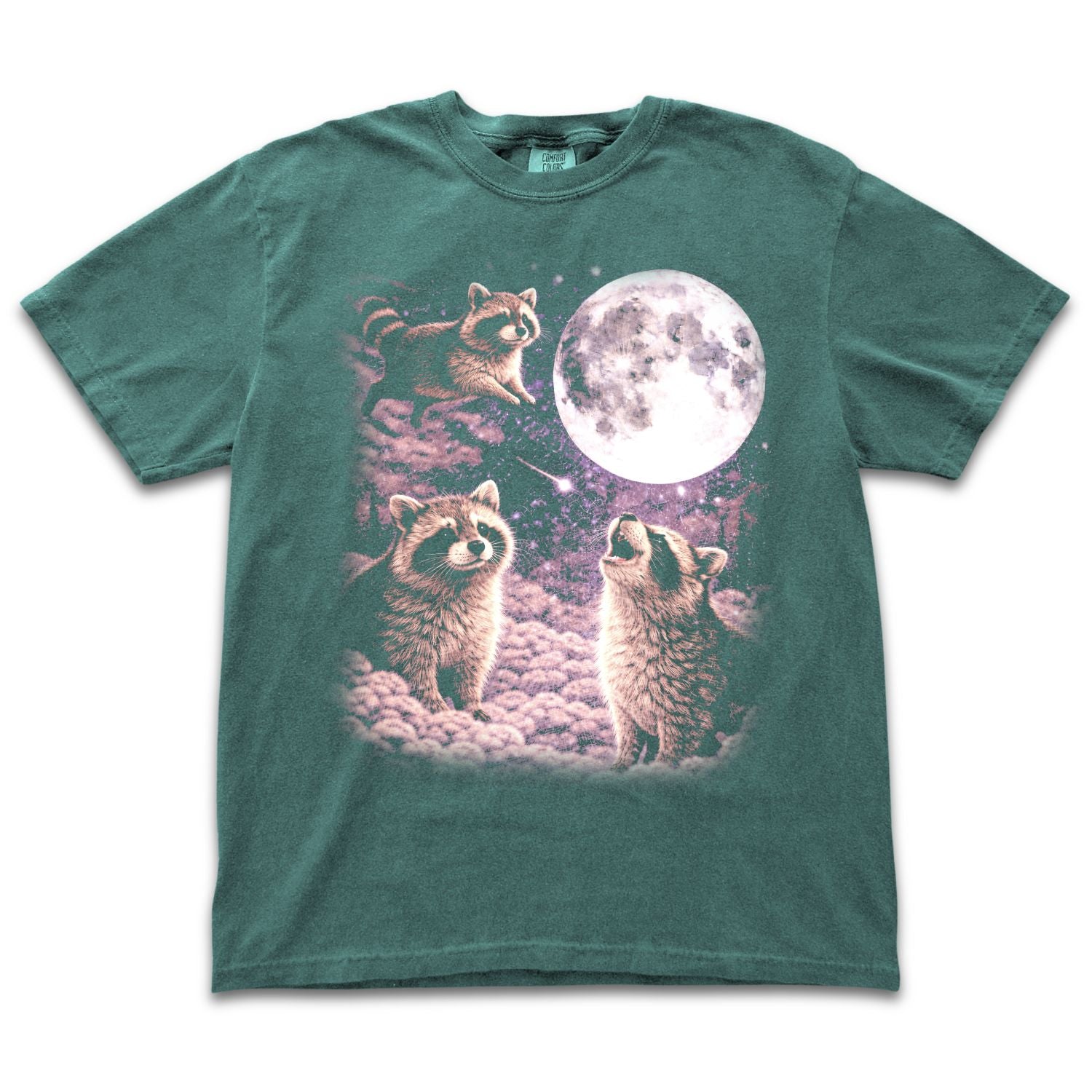 Space Raccoons
