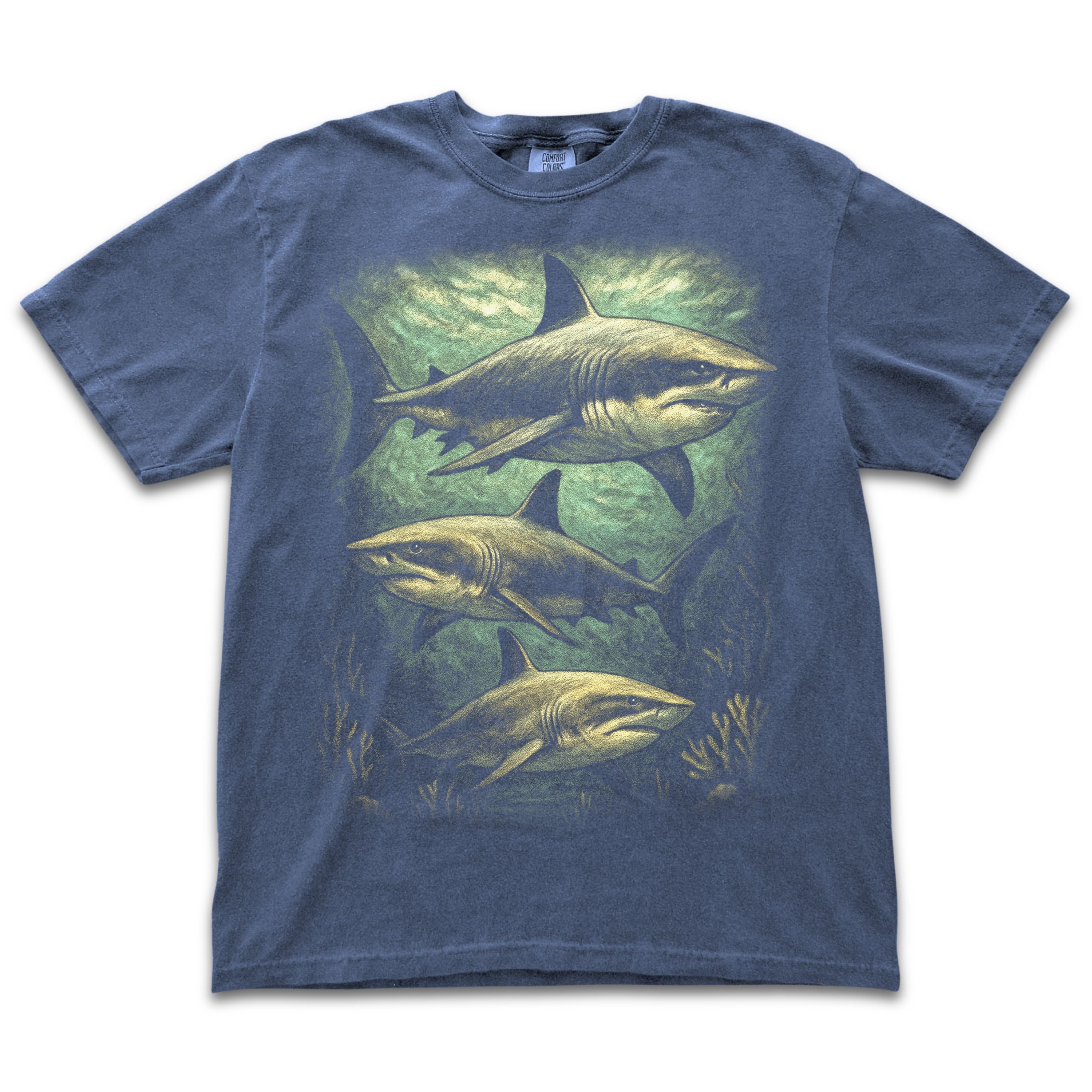 Sharks Under Water