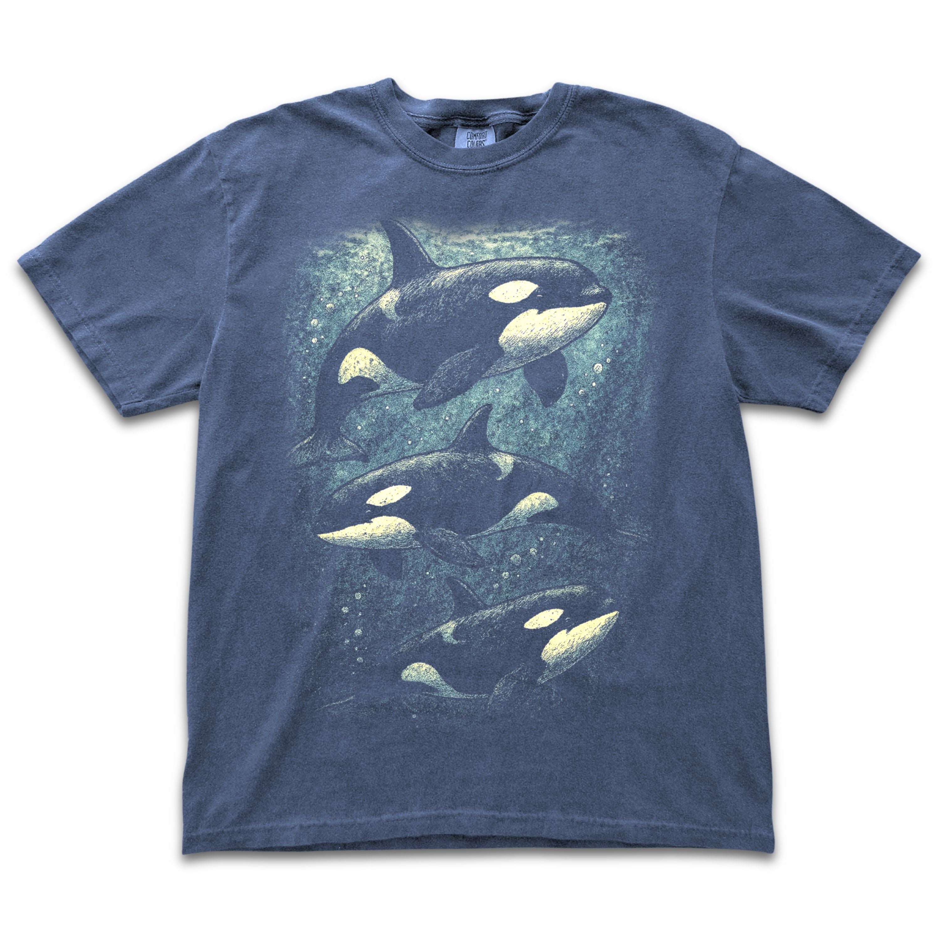 Orcas Under Water