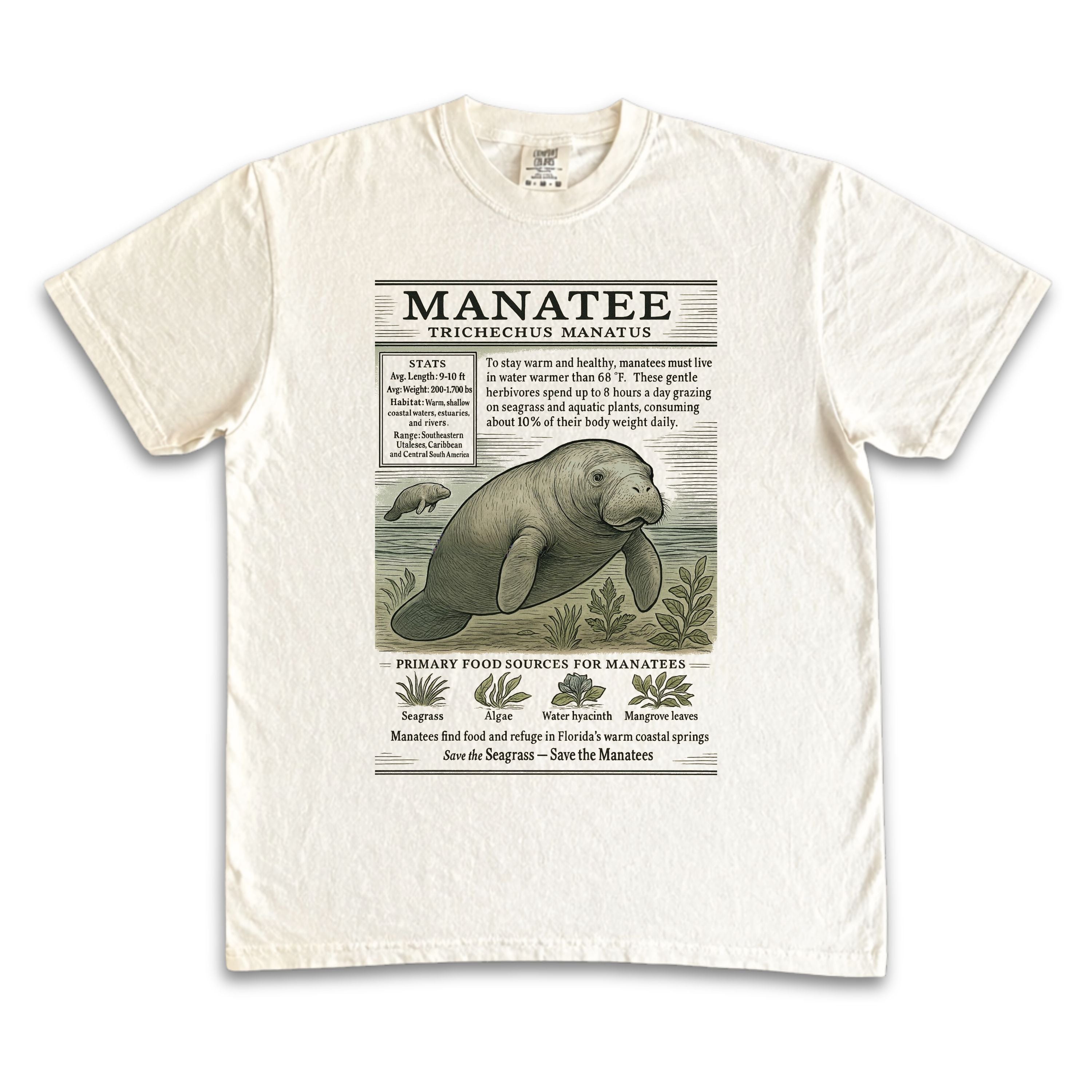 Manatee Zoology