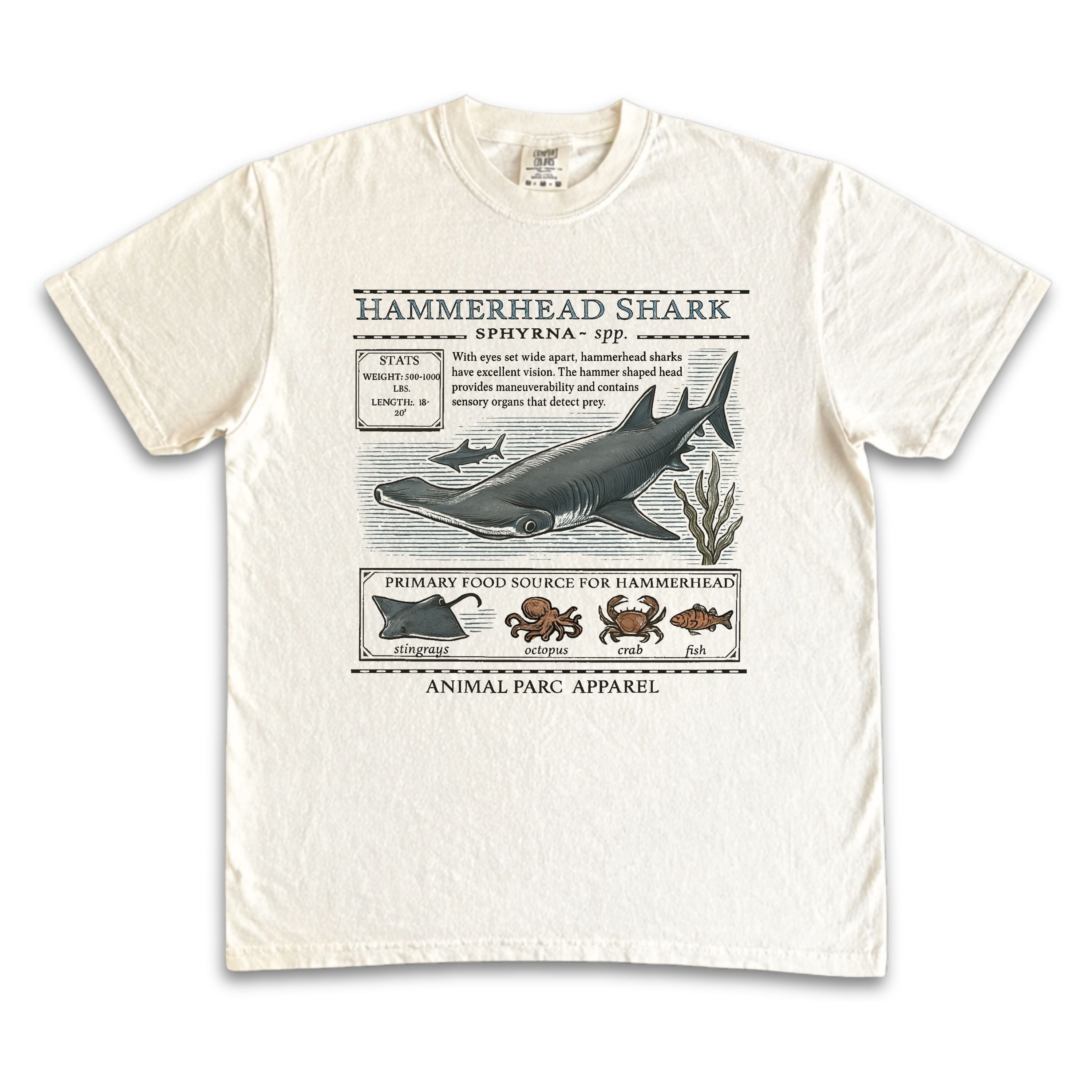 Hammerhead Zoology