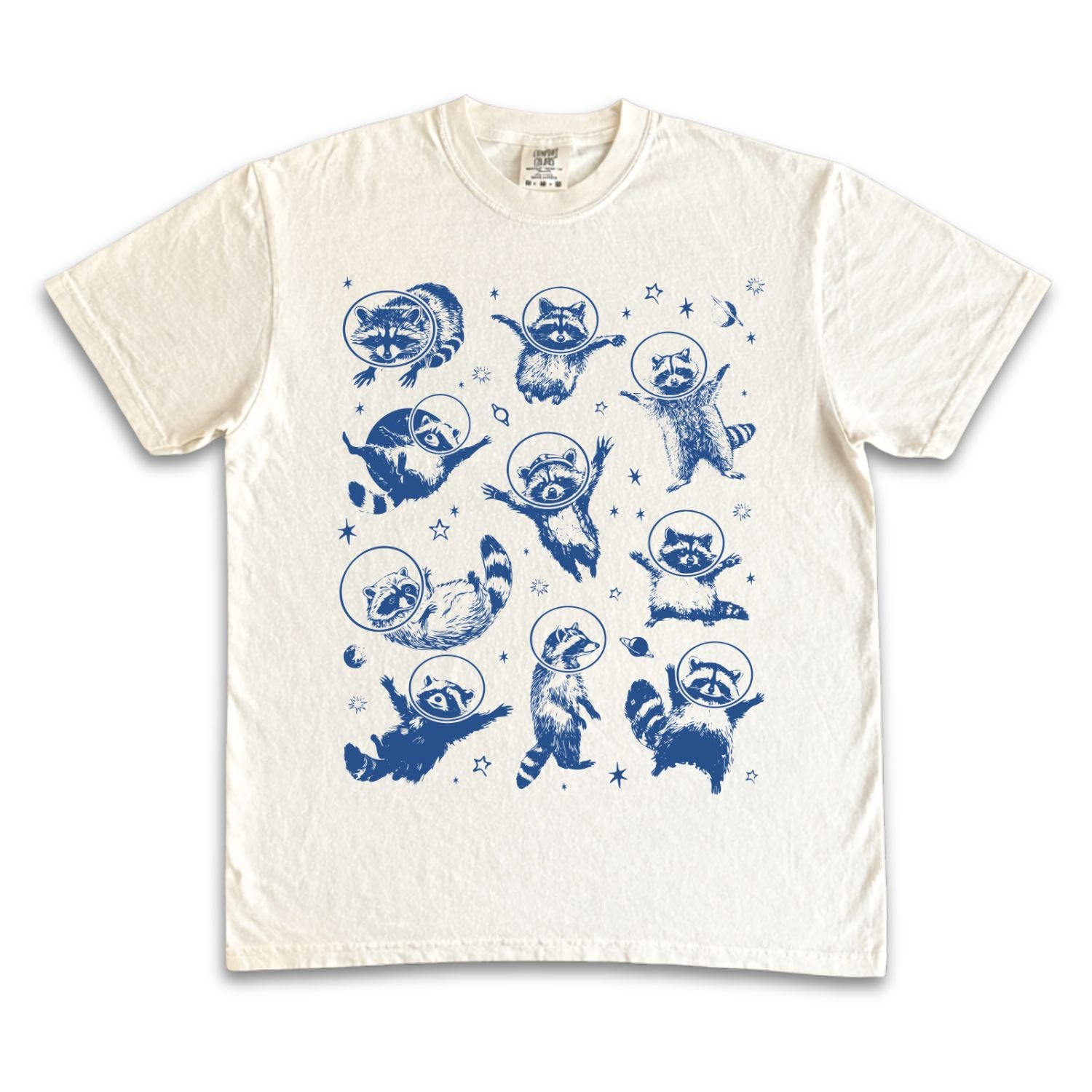Space Raccoons 2.0
