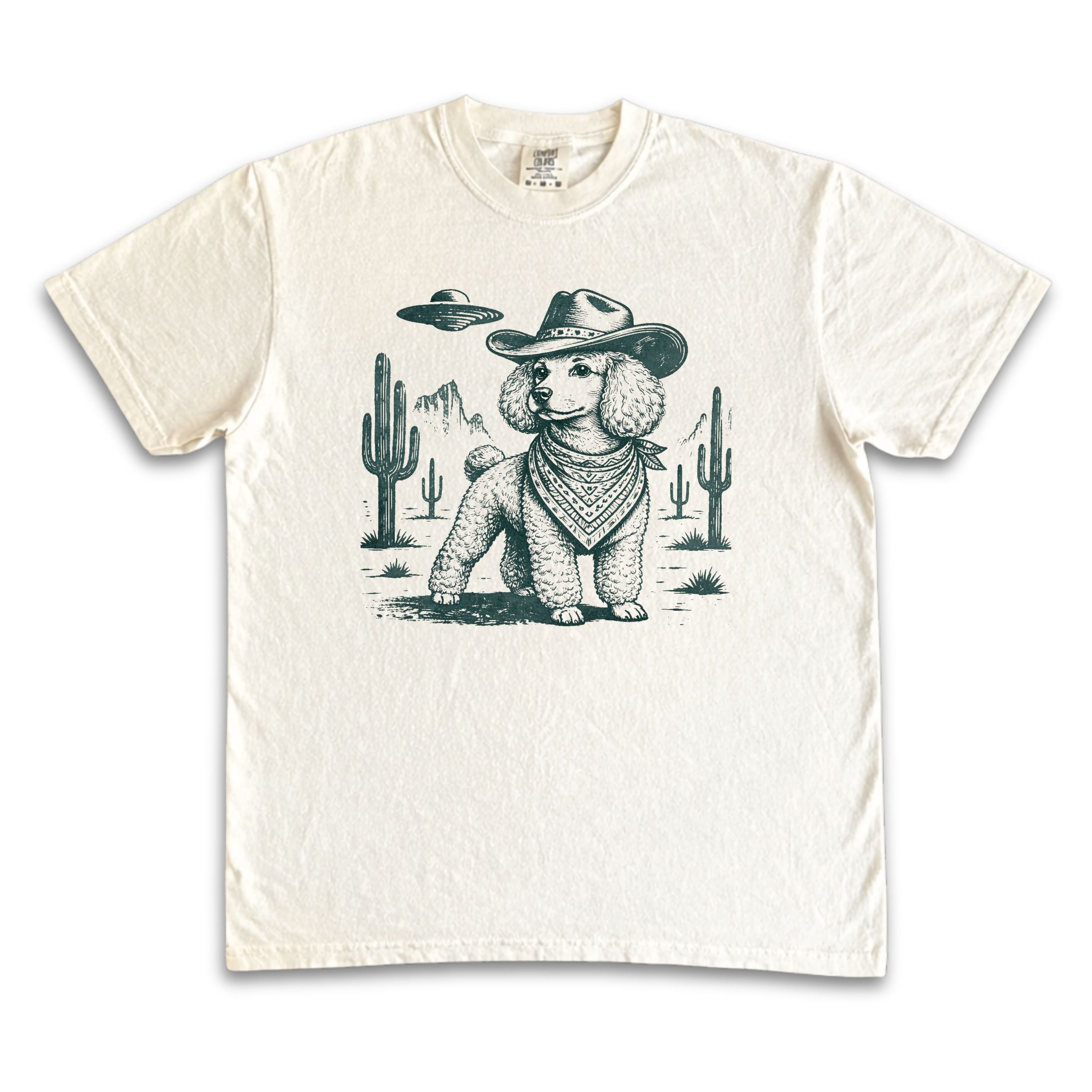 Poodle Desert Abduction